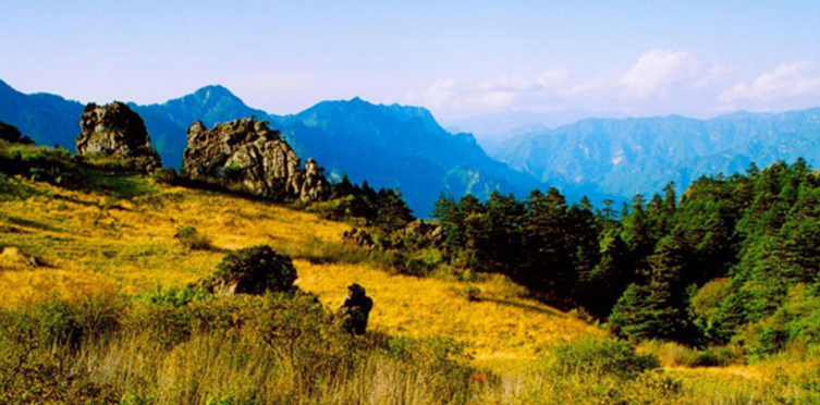 武汉神农架武当山三峡大坝双动六日