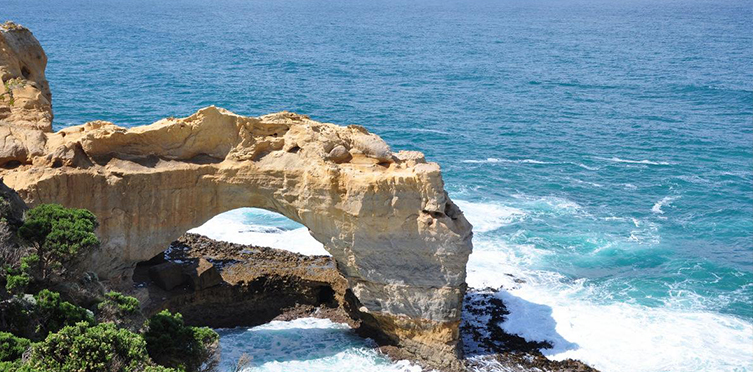 婢冲ぇ鍒╀簹鈥滄柊璧风偣鈥?5鏃ョ弨鏂父瀛︿箣鏃?
                                                                        style=