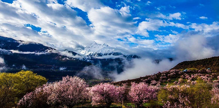 西宁.青海湖.拉萨.林芝.桃花沟.巴松措.雅鲁藏布大峡谷.苯日神山.措木及日.羊卓雍措  双卧双飞10天