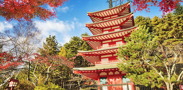 鏃ユ湰绮惧崕闃槳鏈窞5澶?
                                                                style=