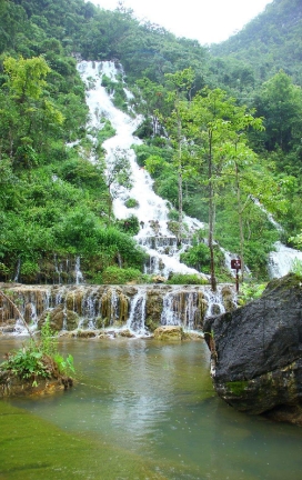 鏆戞湡鐙缁勫洟